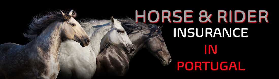 Horse, pony and rider insurance in Portugal and Europe for Expats in English 