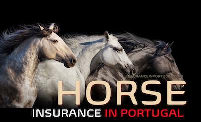 Get a quote for Horse and Equine insurance in Portugal in English 